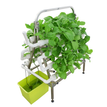 Small NFT garden hydroponic system with plants