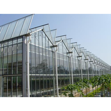 Glass Venlo greenhouse structure